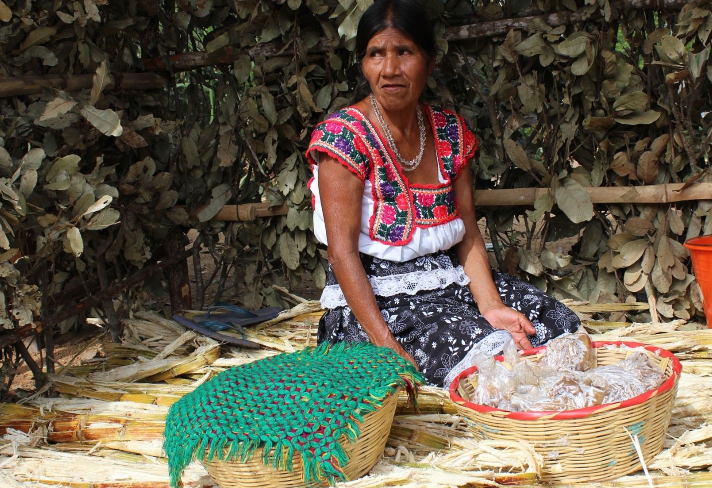 US budget shutdown: I won't compromise on wall, says Trump