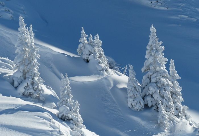 Rare desert snowfall creates a surreal winter wonderland in Arizona