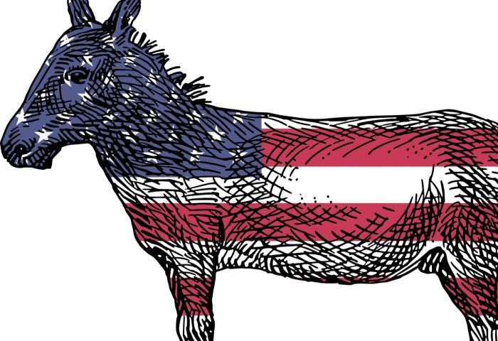 AP Analysis: Democrats seek blueprint for bucking Trump in 2020