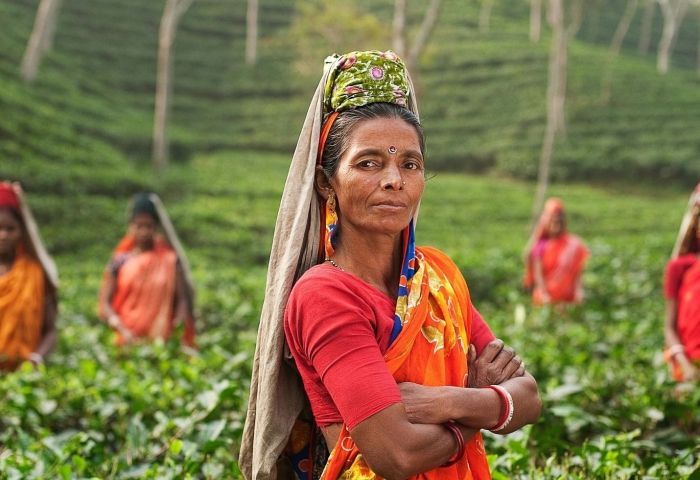 Assam register: Four million risk losing India citizenship