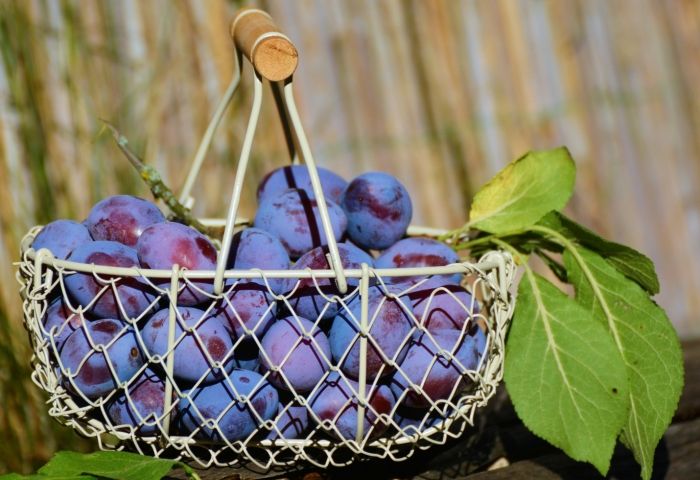 Peaches, Nectarines, and Plums Recalled From Major Supermarkets Nationwide