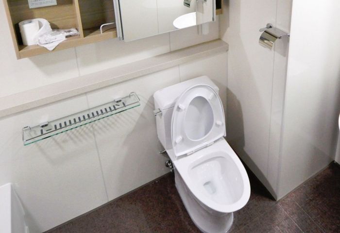 A Toilet That Vaporizes Your Poo