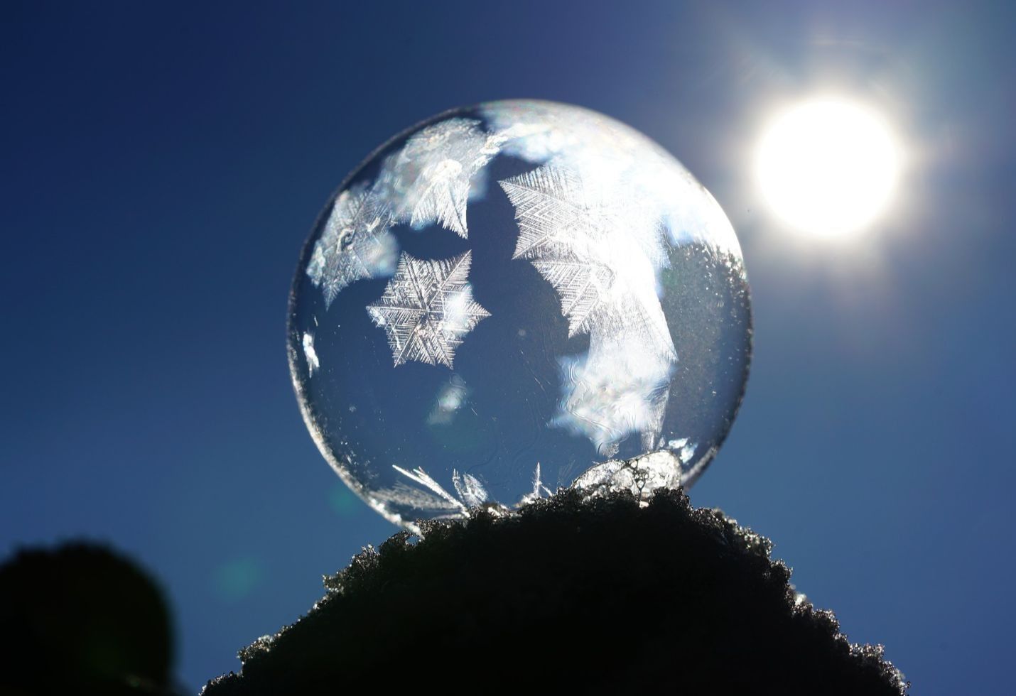 Here's The Proof That U.S. Stocks Are Experiencing A Massive Bubble