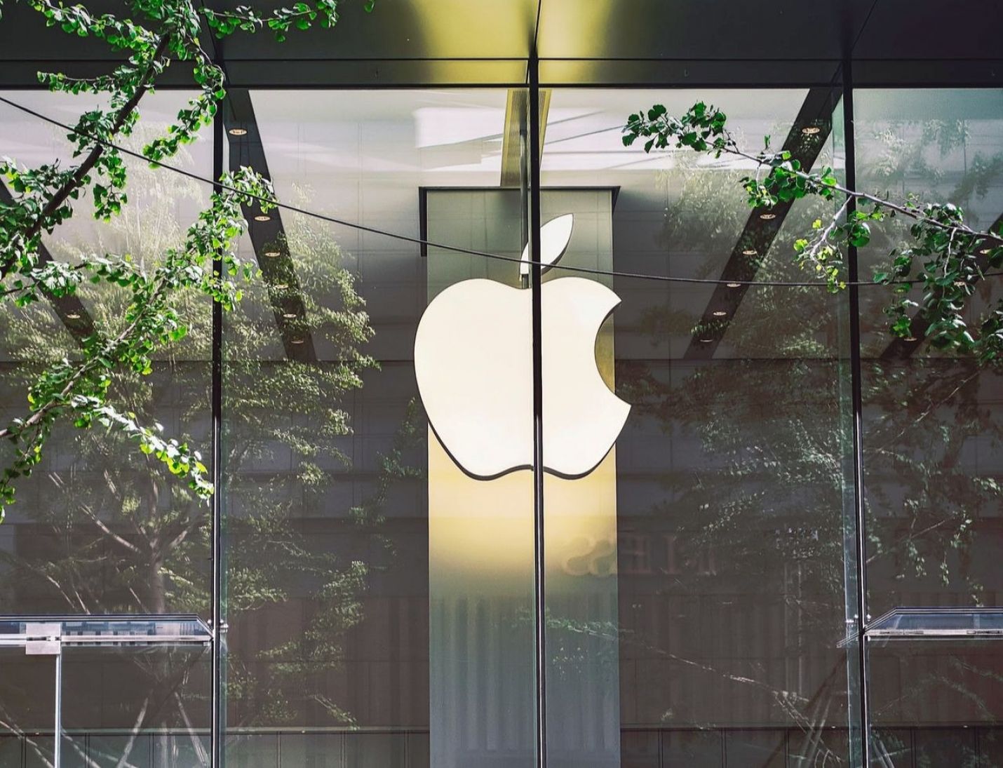 Apple CEO Tim Cook shows unprecedented support to DACA ahead of SCOTUS decision