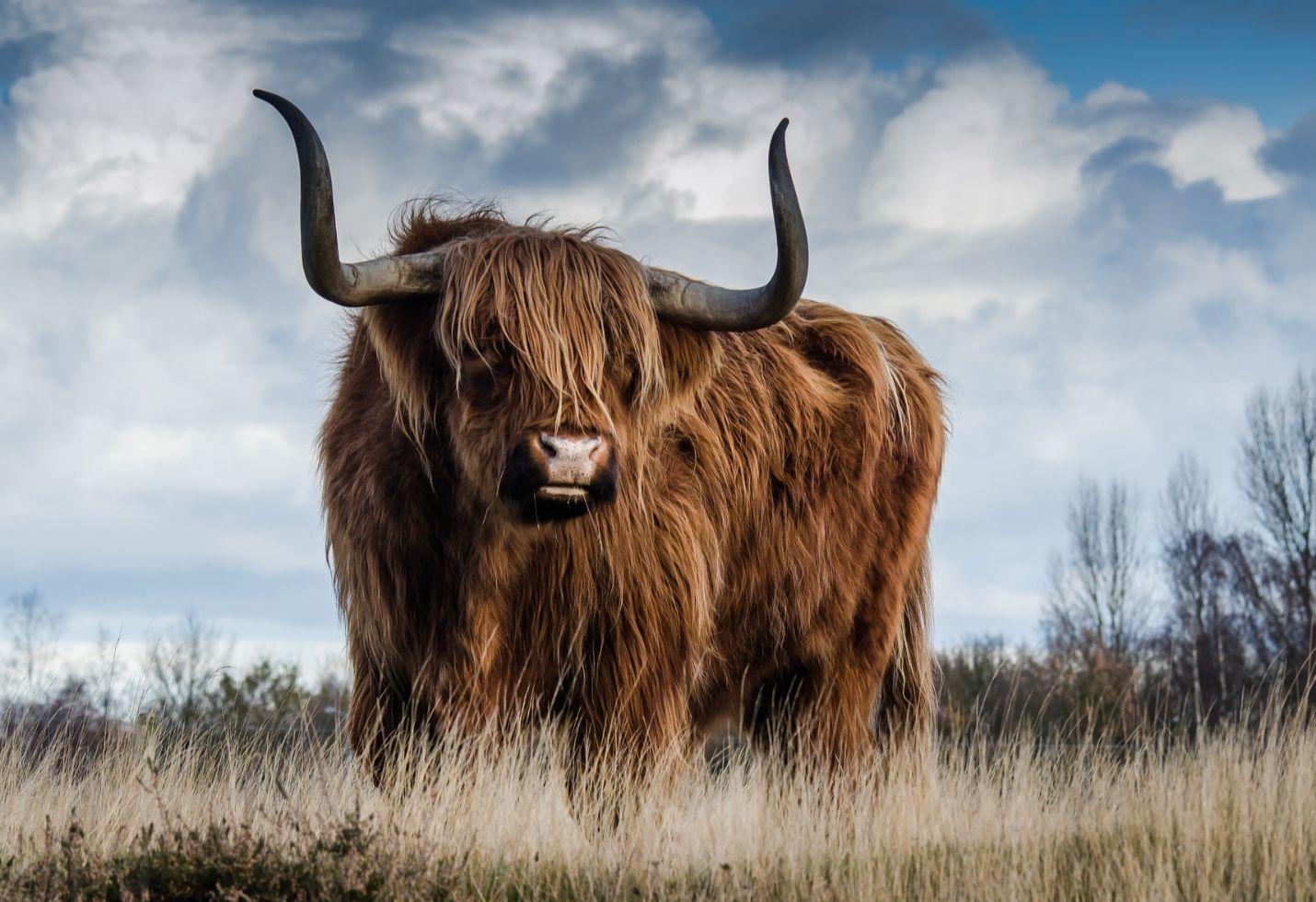 When Will The Bull Market End?