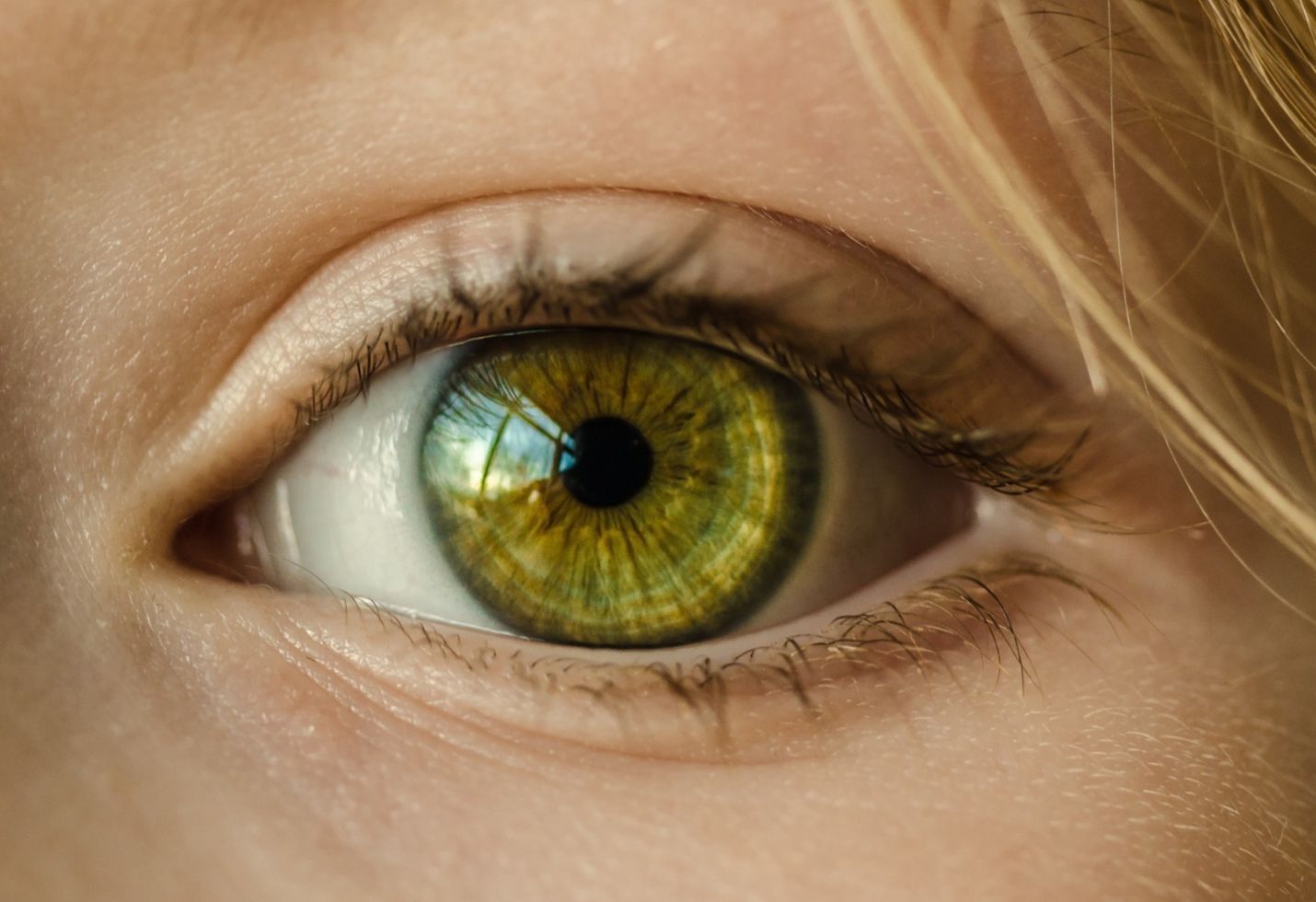 Schools eye facial recognition technology to boost security