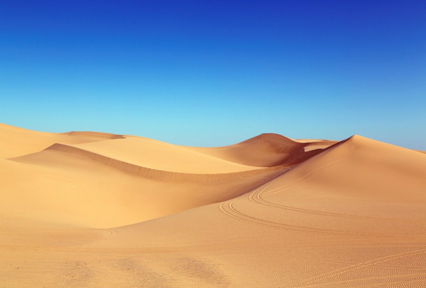 The wall holding back a desert