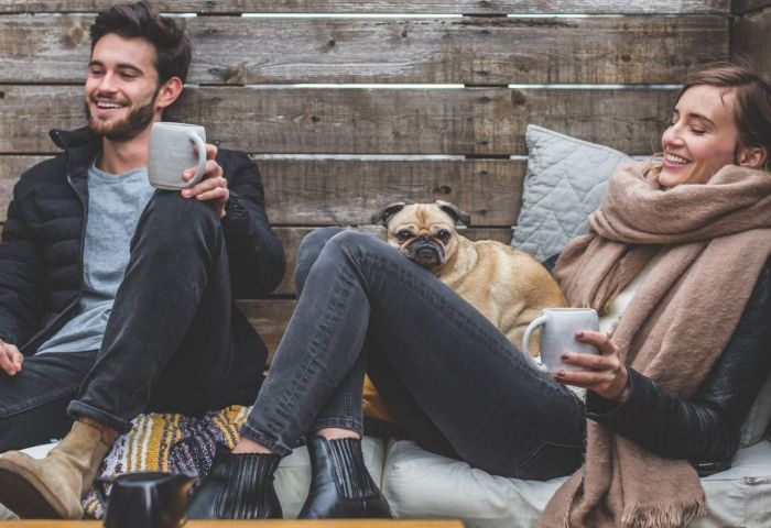 3 Upscale Pet Business Ideas To Take Advantage Of Amidst The Rising Pet Industry