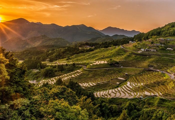 Japan but not as you know it &ndash; why the Setouchi region should be on your bucket list