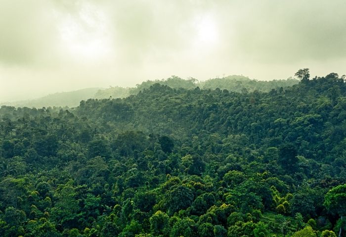 International pressure mounts for Brazil to counter raging Amazon fires