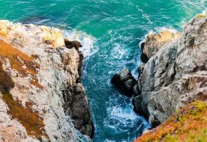 Of course they don&rsquo;t want us to eat our breakfast