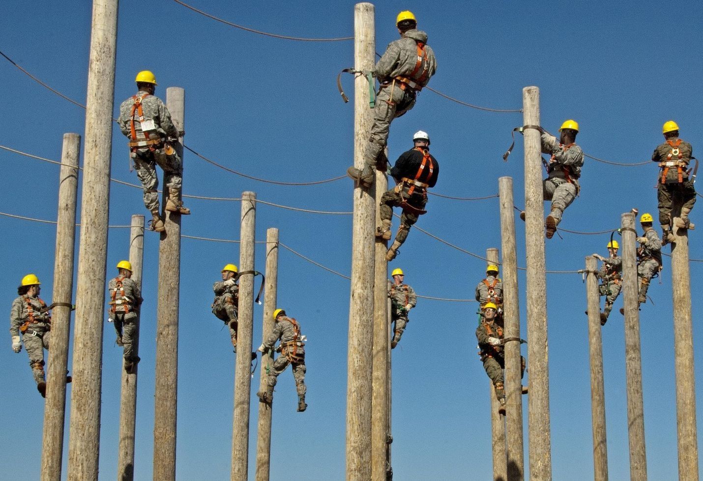 Refugees Are Coming. Should They Work?