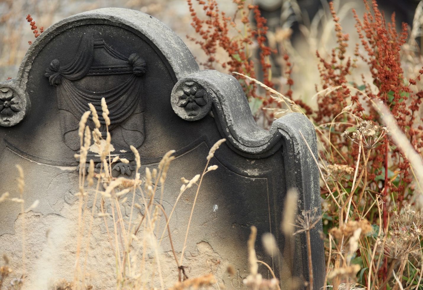 Halting Violence in the Heartland