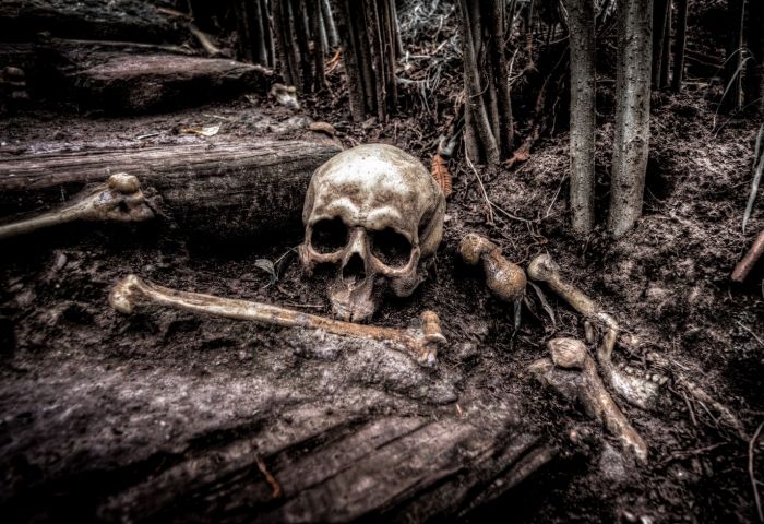 Ancient DNA reveals new twists in Neanderthal migration