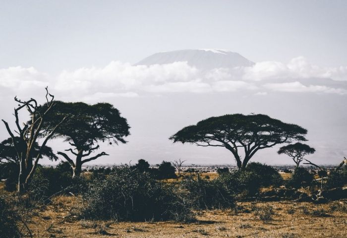 Africa, Latin America fragile targets for coronavirus spread