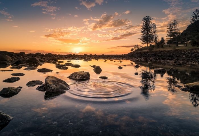 Melissa McCarthy Makes $12 Million a Year, Wakes Up at 4:30 A.M., and Doesn't Use Her Phone on the Weekends