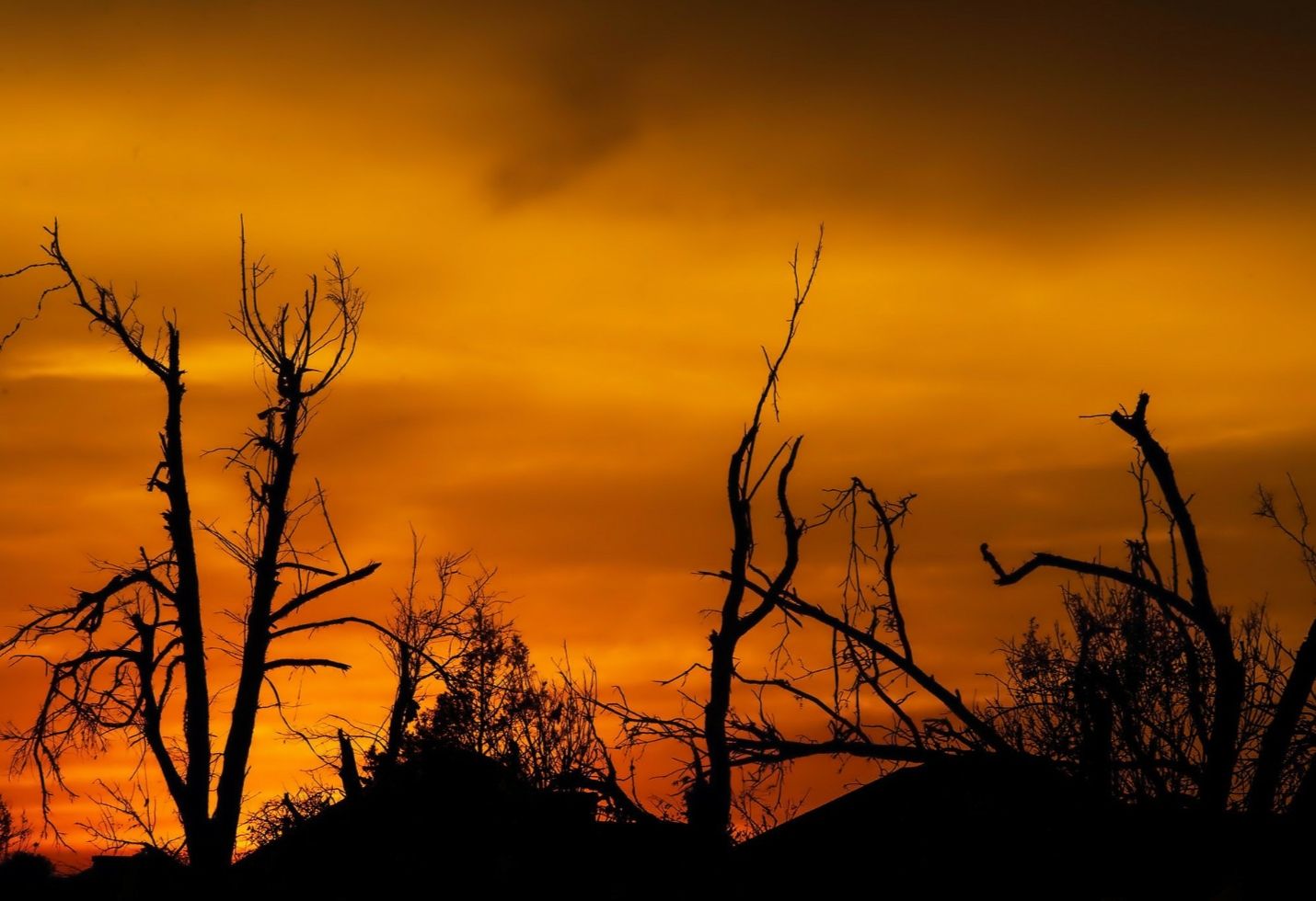 Climate change will crush real estate values for investors who don&rsquo;t prepare, new report says