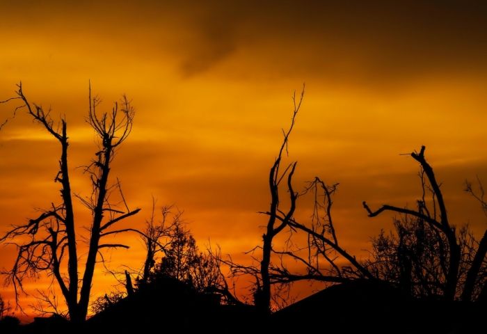 Climate change will crush real estate values for investors who don&rsquo;t prepare, new report says