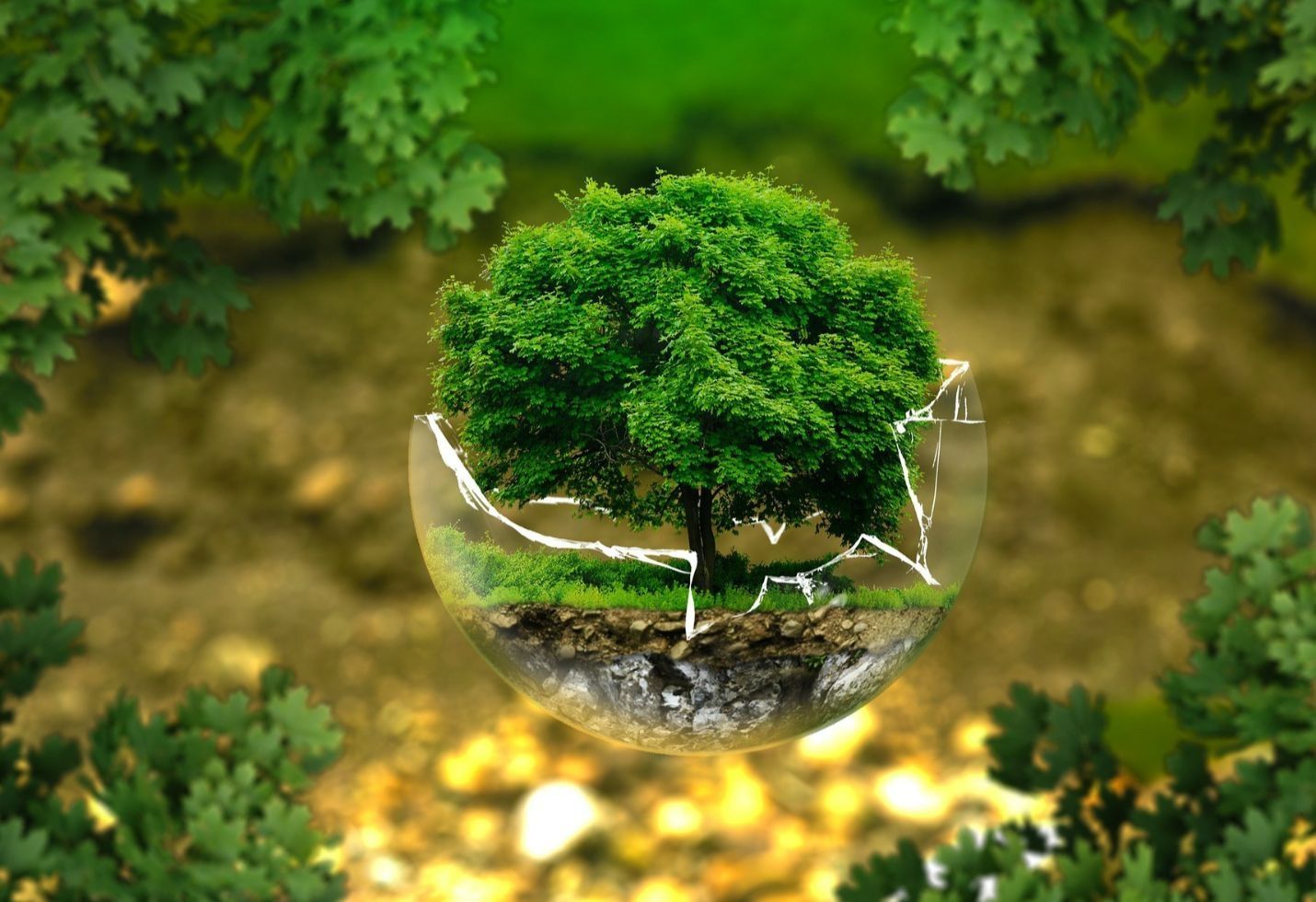 Top court nominee has long knocked back environmental rules