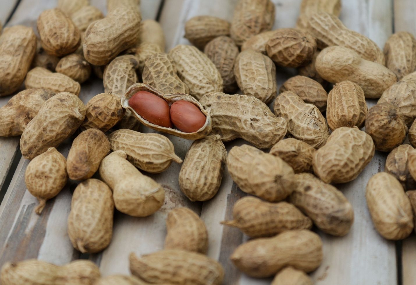 Immune system discovery could lead to preventative drugs for allergies