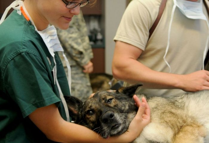 Woman held captive slips note to veterinary employee