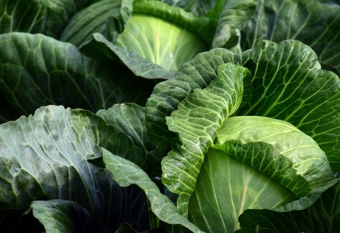 Kabbage raises a record $700 million in debt for its SMB loans platform