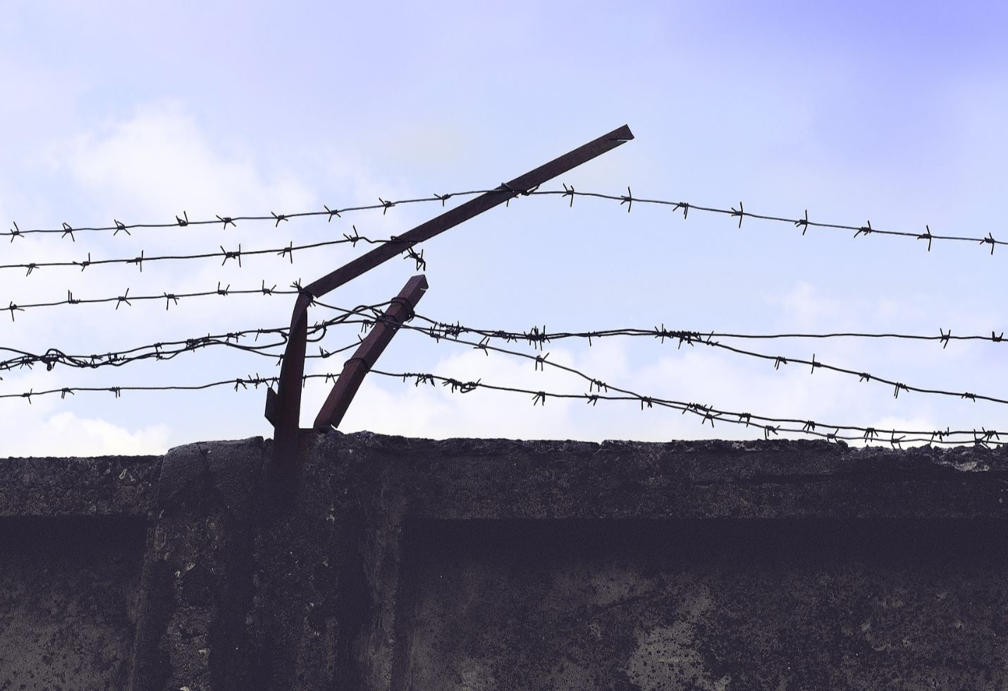 Trump sets odds of reaching deal on wall at less than 50-50