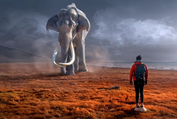 Environmental Change, Not Humans, Caused Extinction of Large Ancient Mammals