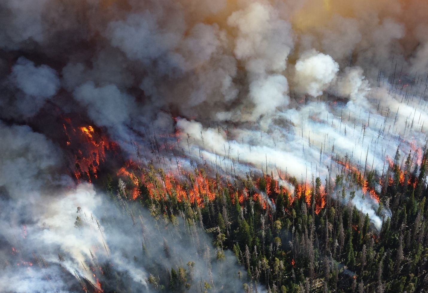 California wildfires: Death toll rises to 31 with 200 missing