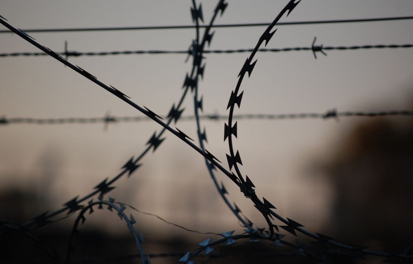 Study: Half of US adults have had close family member jailed