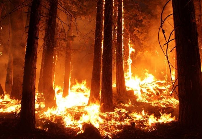 California fire: Gains made in containing major Carr blaze