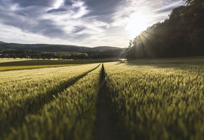 The Gov&rsquo;t Shutdown Is Preventing Soybean Farmers From Receiving Bailout Checks