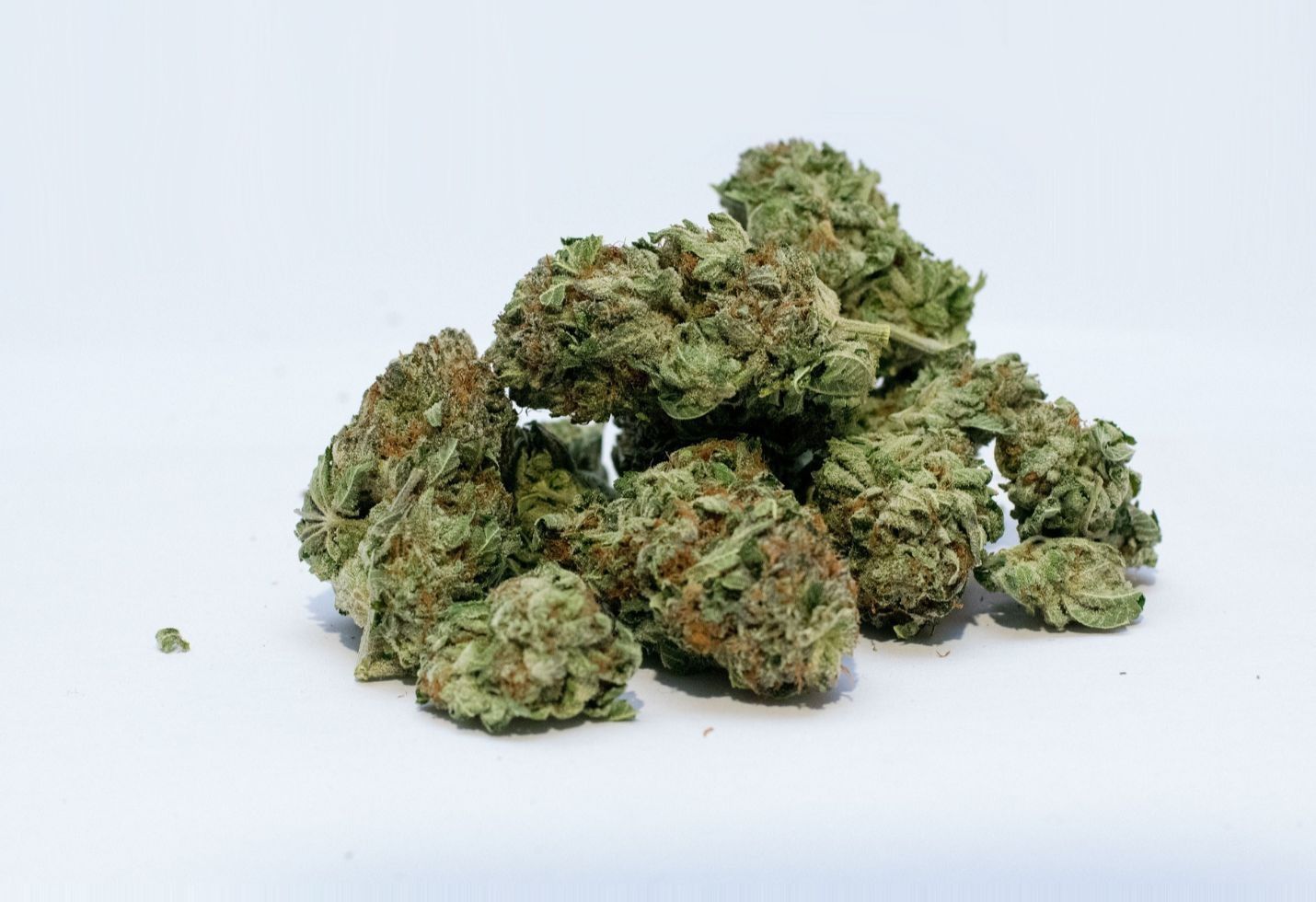 7 Jaw-Dropping Marijuana Statistics You Have to See to Believe