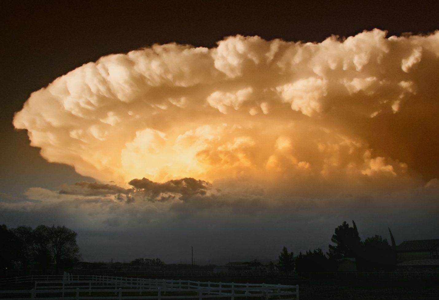 A Turn Away From Mexico's Environment?