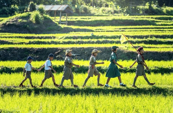 Looming wave of sex abuse cases poses financial threat to Boy Scouts