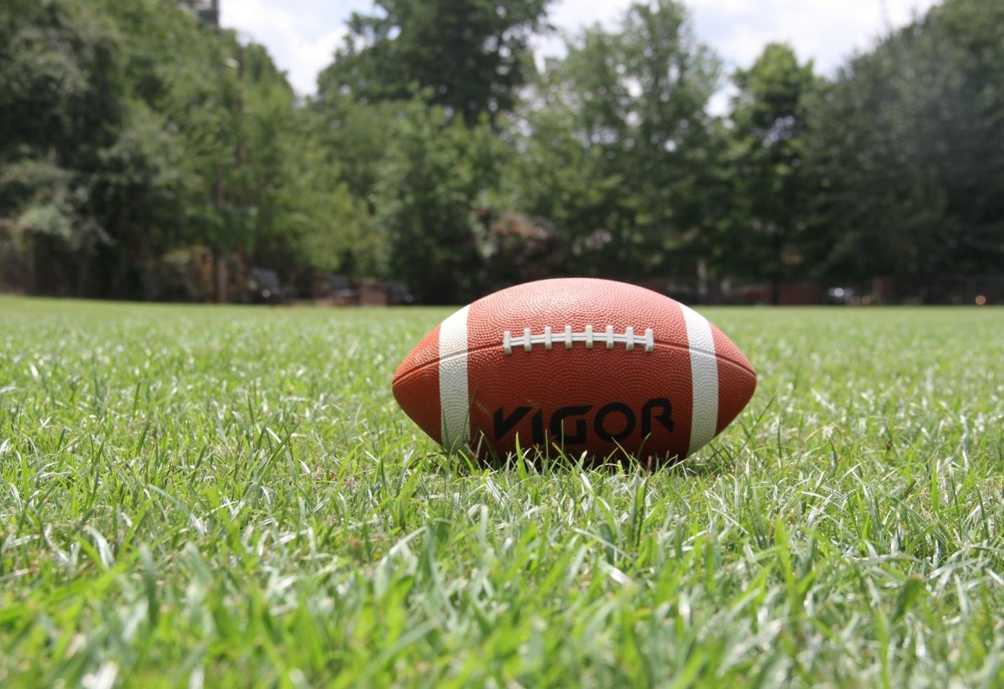 Nicky Winmar: Statue of footballer's stand against racism unveiled in Perth