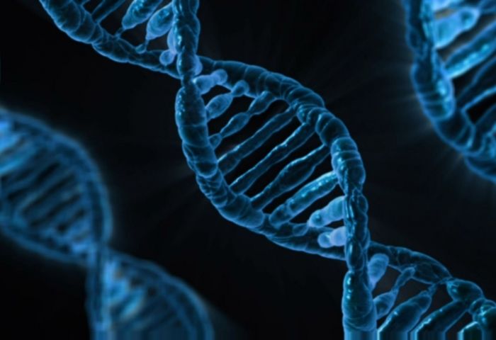 I took a batch of DNA tests so you don't have to