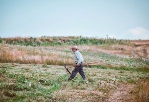Trump&rsquo;s &lsquo;great patriot&rsquo; farmers follow him into a trade war