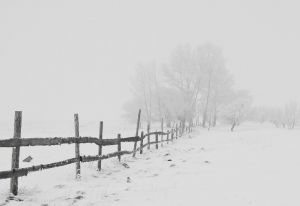 Schools, offices close as long-lived storm clobbers US East