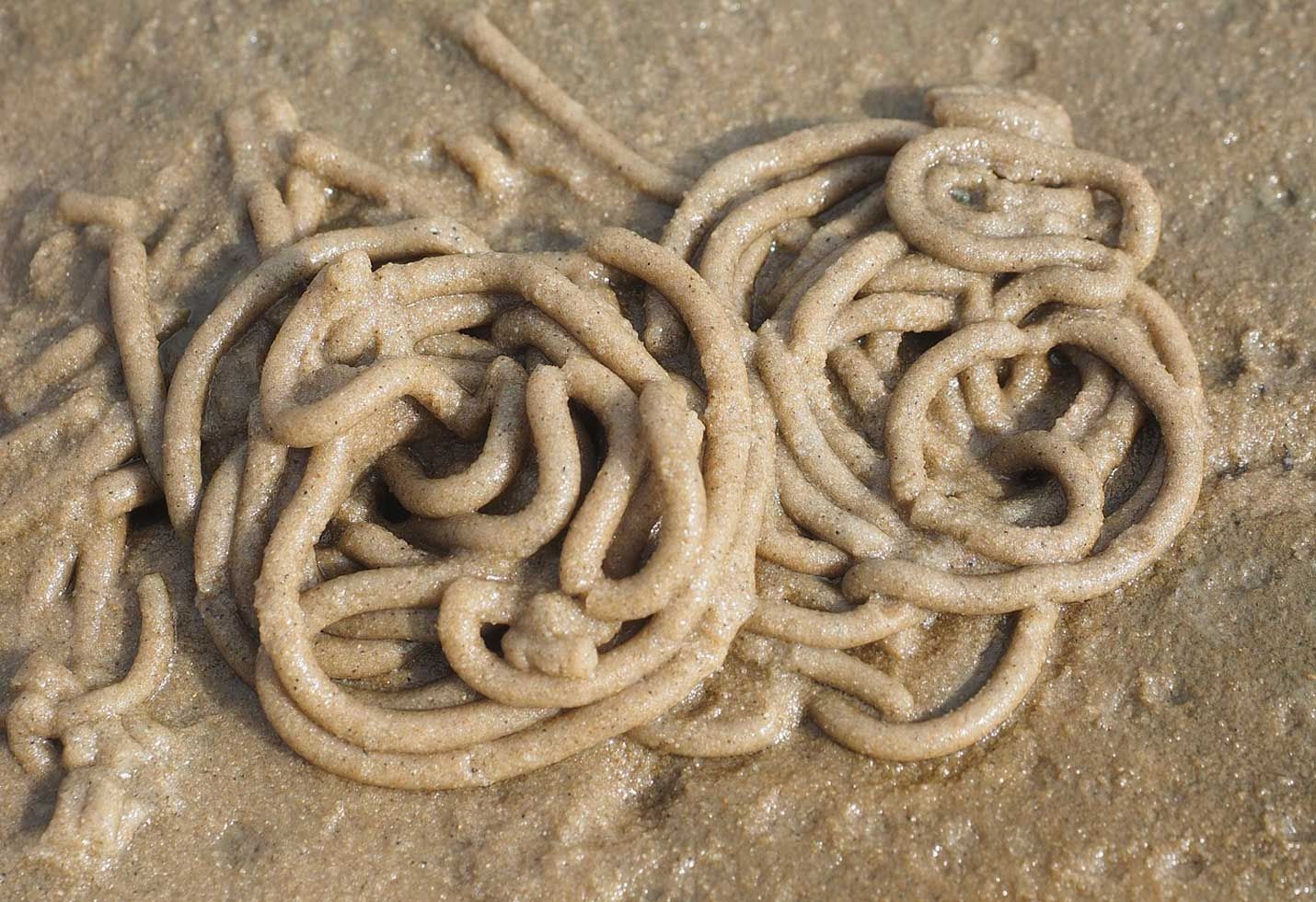 After Eight Days of Itchy Eyes, Oregon Woman Finds 14 Worms