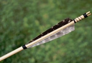 German crossbow deaths: Police find more bodies