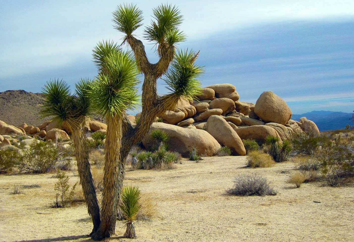 5 Things to Do in Palm Springs Instead of Sitting at the Pool