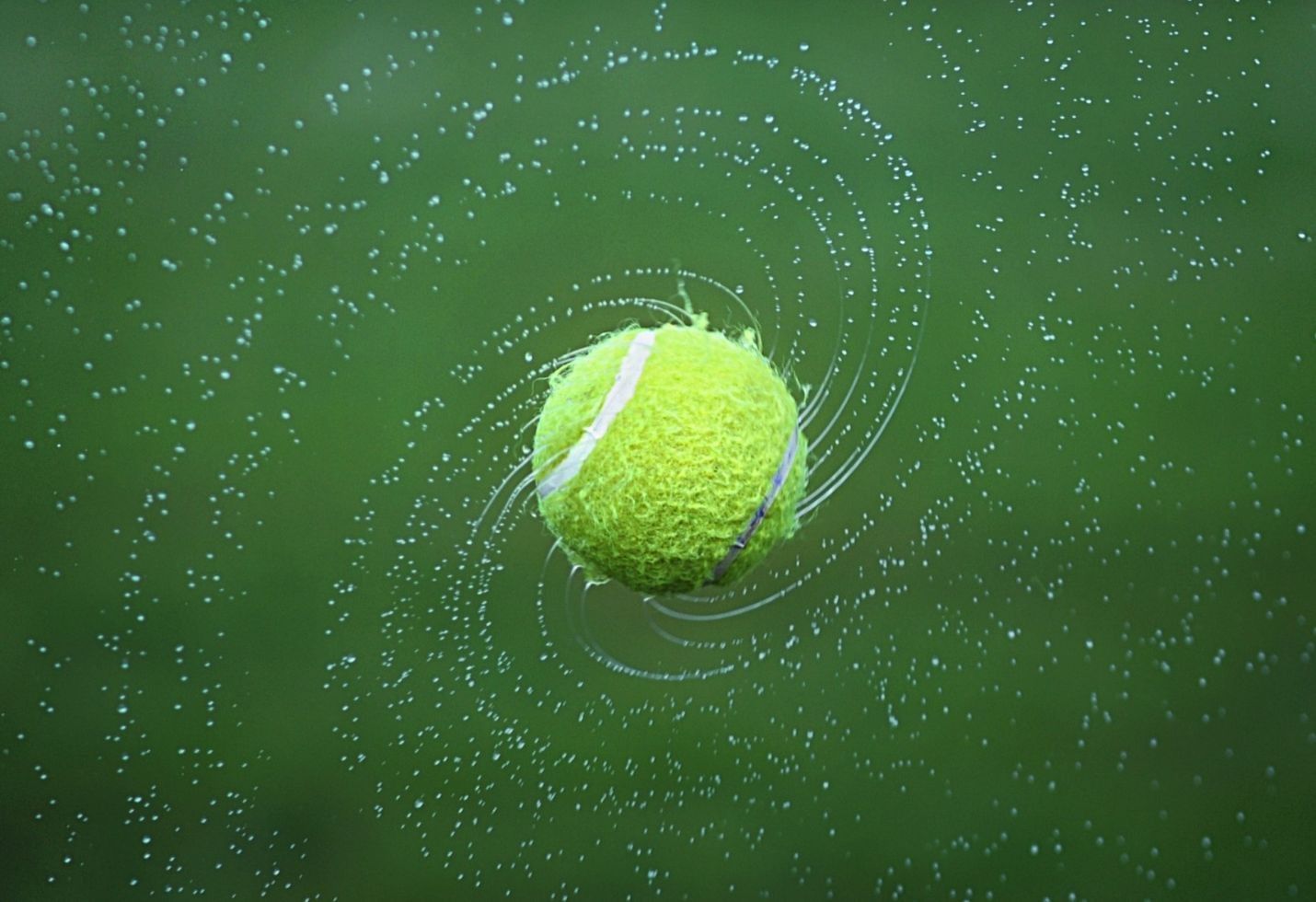 Novak Djokovic wins fourth Wimbledon by beating Kevin Anderson