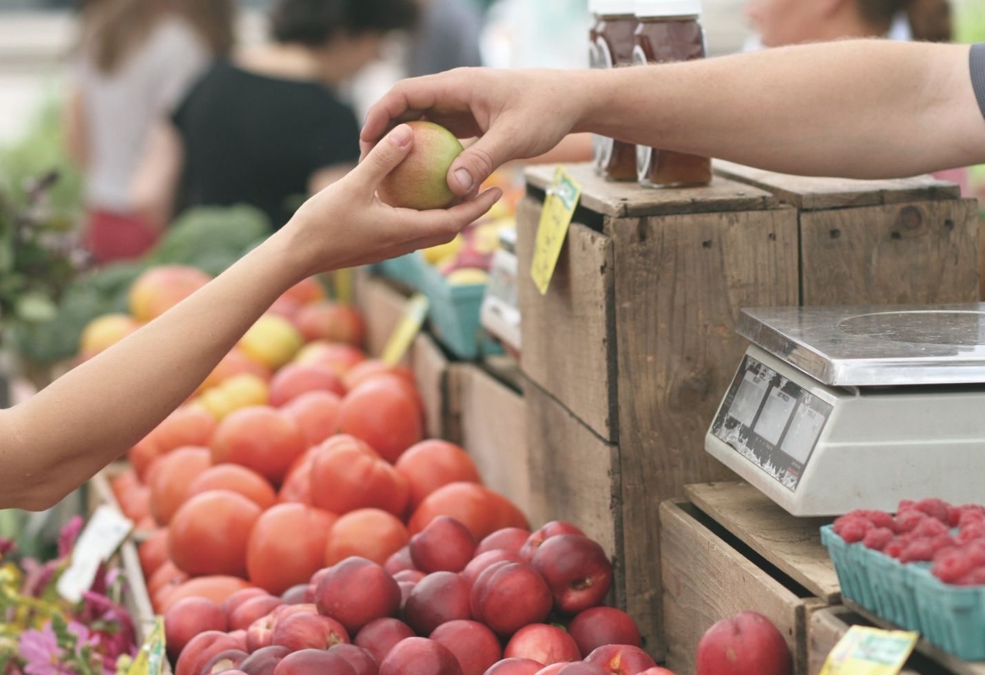 USDA fights to purge food stamps recipients despite pandemic