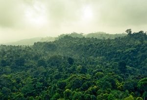 International pressure mounts for Brazil to counter raging Amazon fires