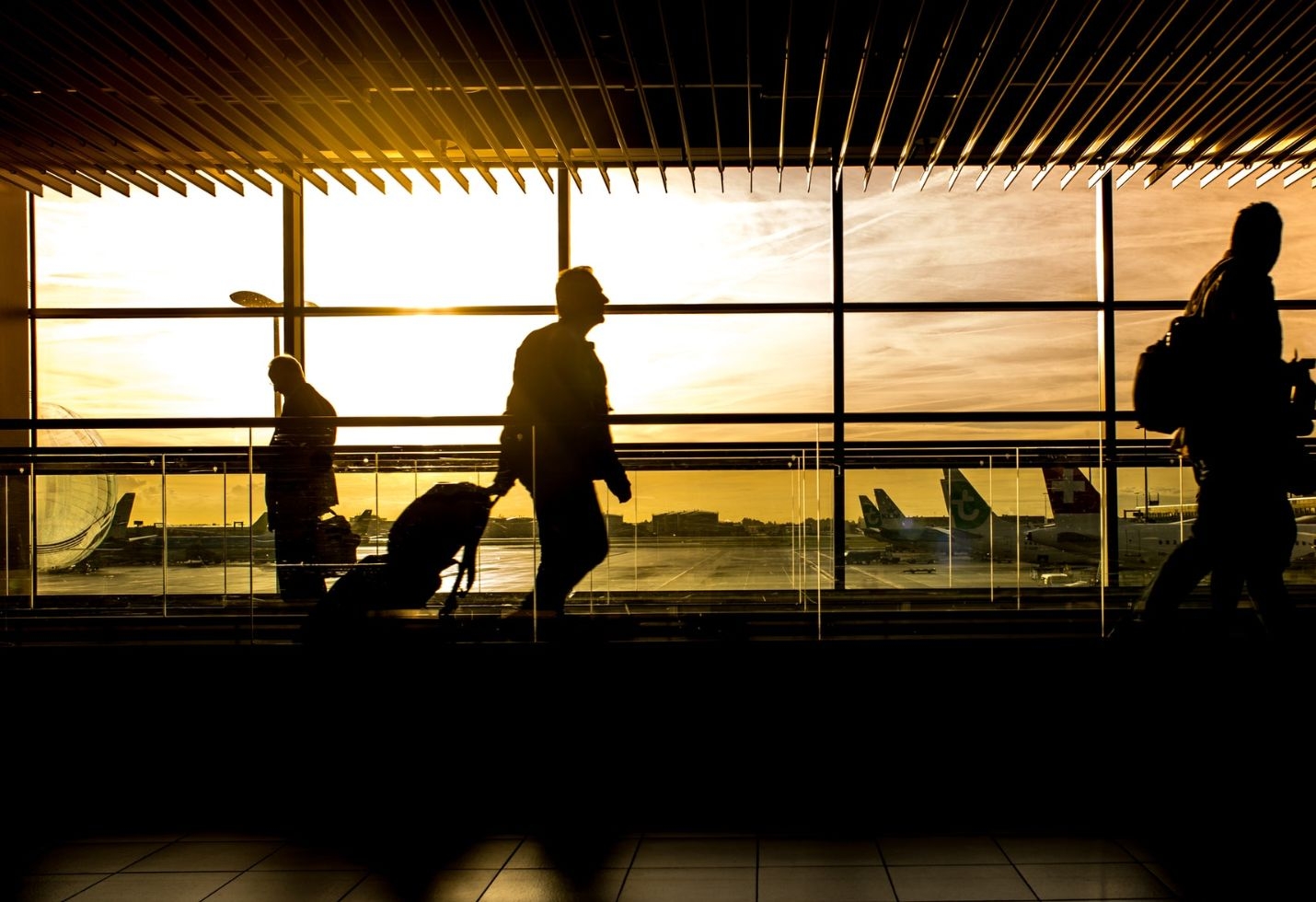 This Year, You Finally, Really, Truly Need Real ID to Fly