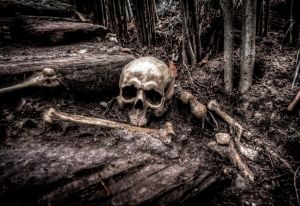 Ancient DNA reveals new twists in Neanderthal migration