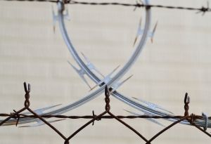 Senate passes $4.6B border aid measure; Pelosi seeks talks