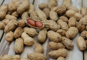 Immune system discovery could lead to preventative drugs for allergies
