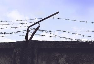 Trump sets odds of reaching deal on wall at less than 50-50